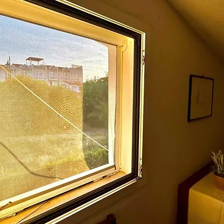 Tina's Tiny House - 10 Meters From The אולביה