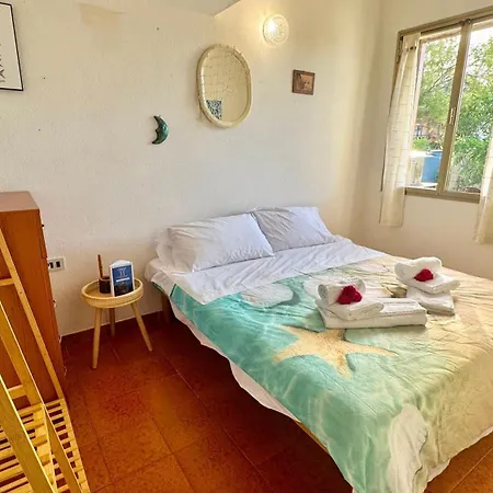 Tina's Tiny House - 10 Meters From The *