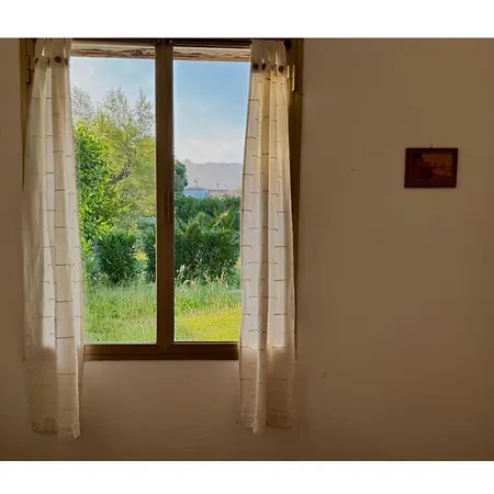 Tina's Tiny House - 10 Meters From The * أولبيا