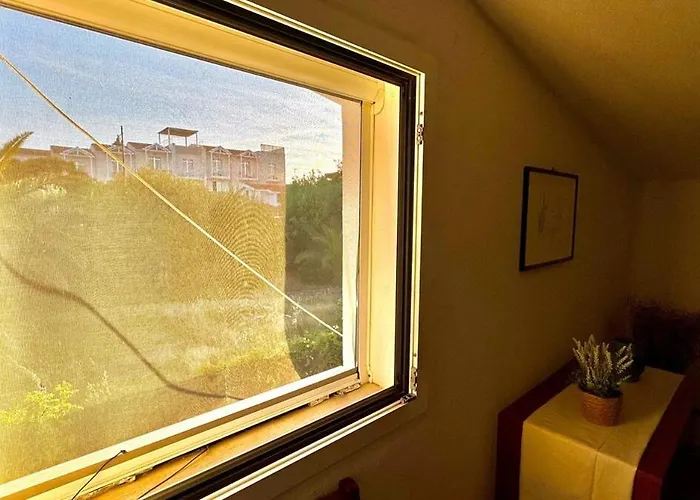 Tina's Tiny House - 10 Meters From The Olbia